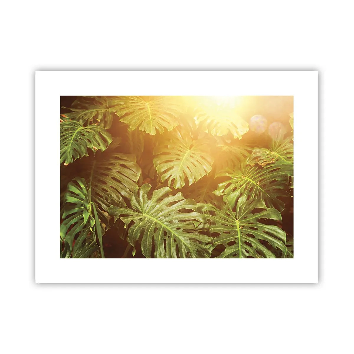 Poster - Poftiți în verde - 40x30 cm