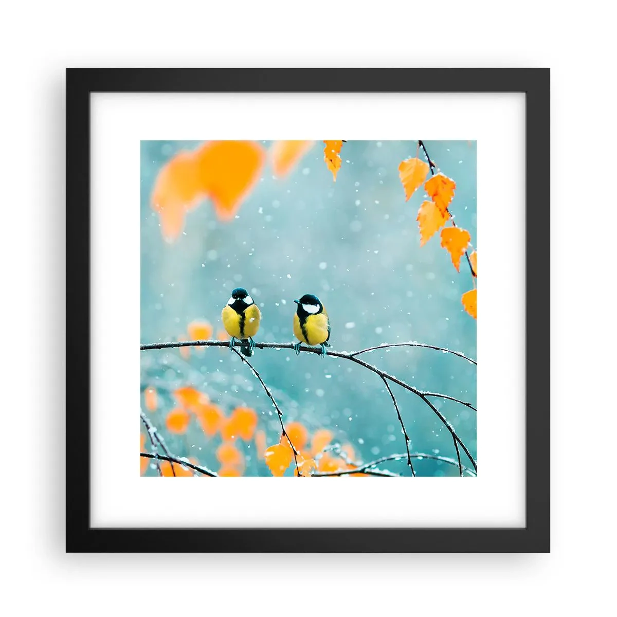 Poster în ramă neagră - Bârfele păsărilor - 30x30 cm