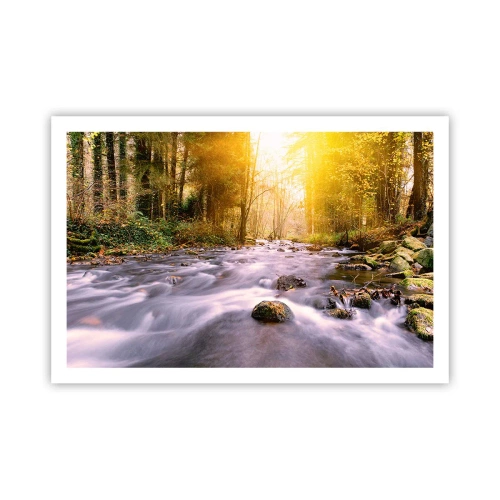 Poster - Malachit în rame de argint și aur - 91x61 cm