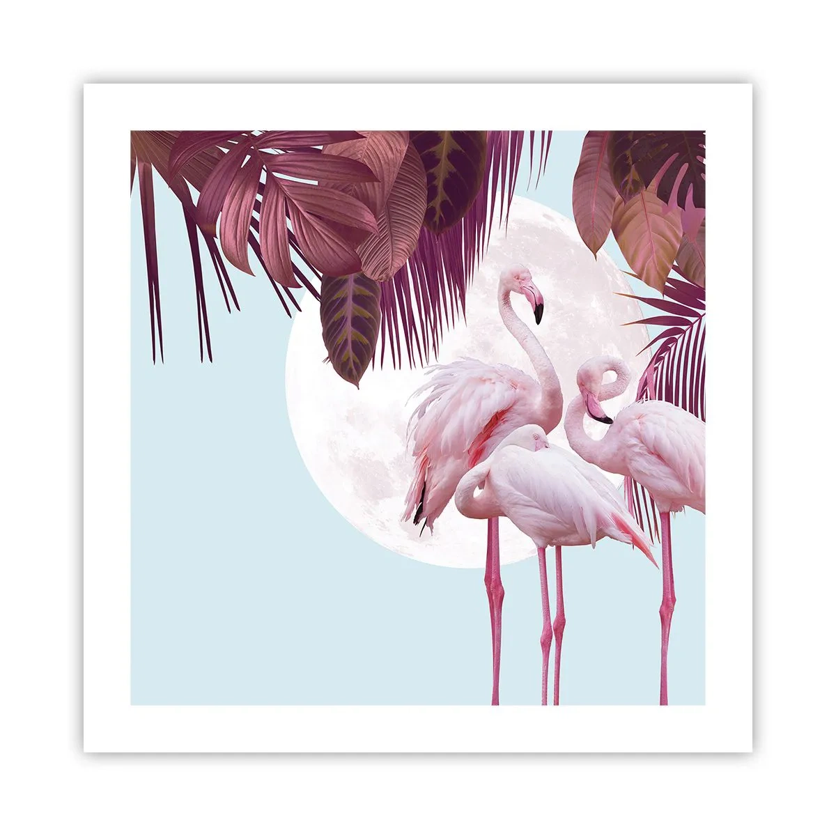 Poster - Harul a trei păsări - 50x50 cm