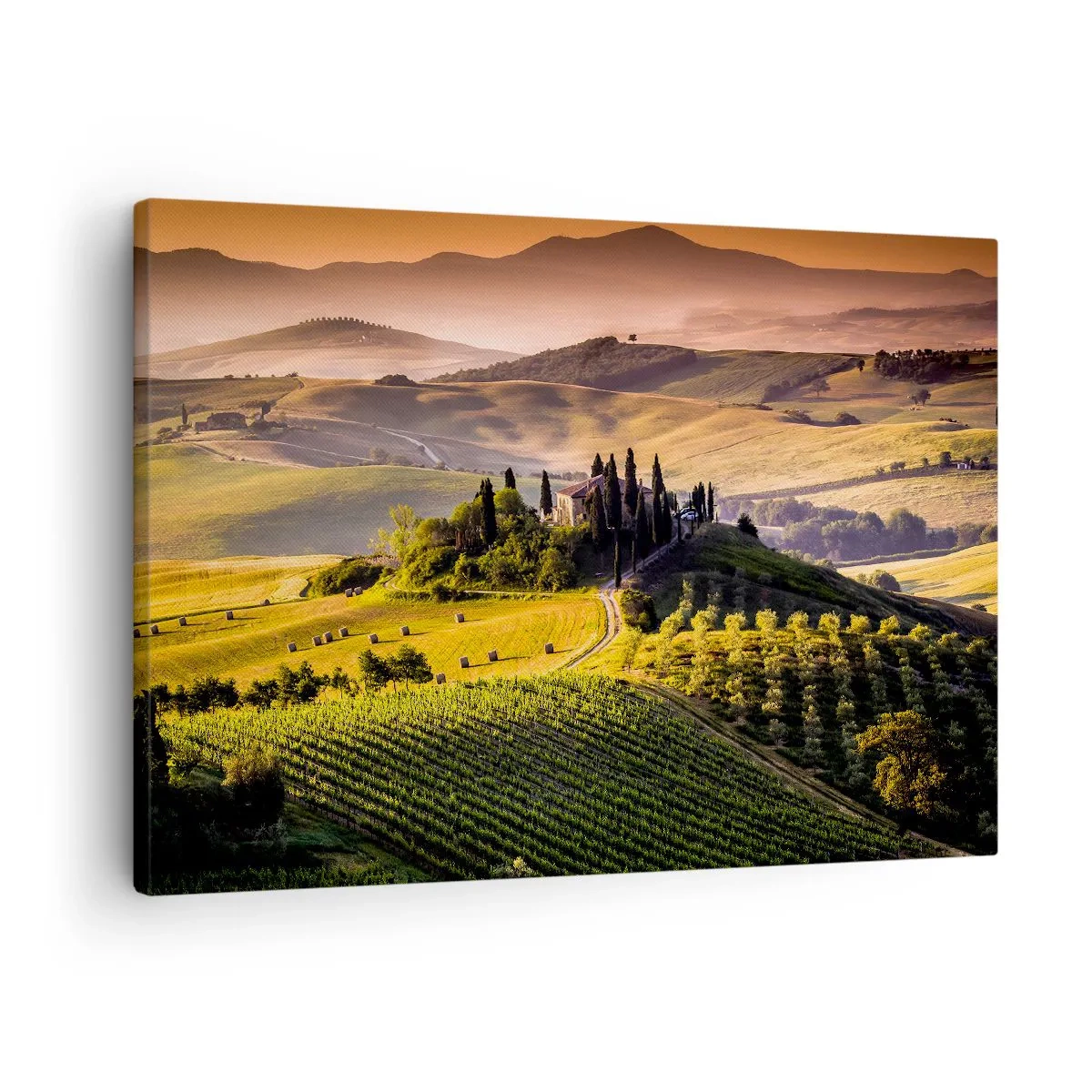 Tablou pe pânză Canvas - Peisaj toscan cu podgorii și o casă pe un deal - 70x50cm - Arcadia - peisaj toscan - Decorațiune modernă pentru perete pentru living și dormitor ARTTOR