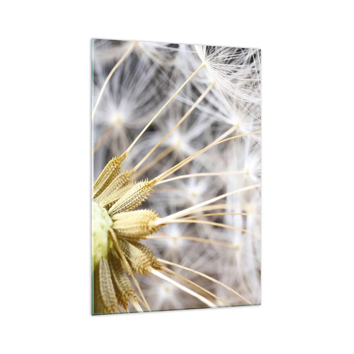 Tablou pe sticlă - Chiar înainte de zbor... - 70x100 cm