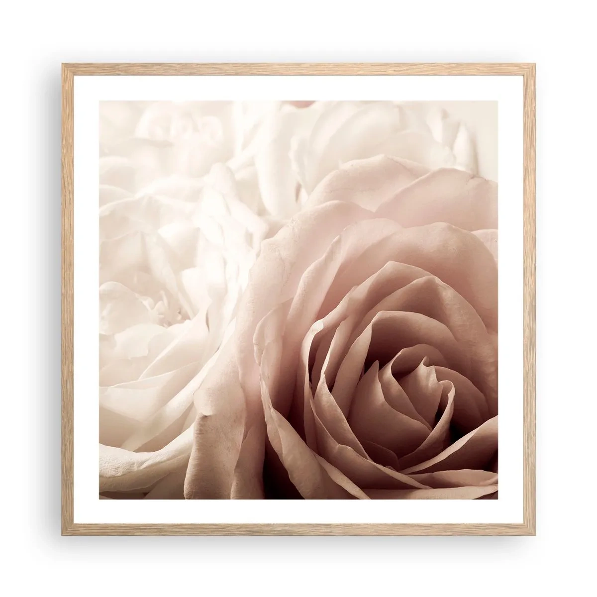 Poster în ramă de stejar deschis - În inima unui trandafir - 60x60 cm