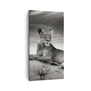 Tablou pe pânză - Odihna reginei deșertului - 55x100 cm