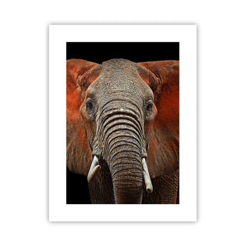 Poster - Sunt sălbatic, și tu? - 30x40 cm