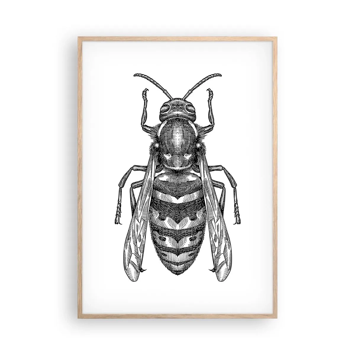 Poster în ramă de stejar deschis - De pe o planetă de insecte - 70x100 cm