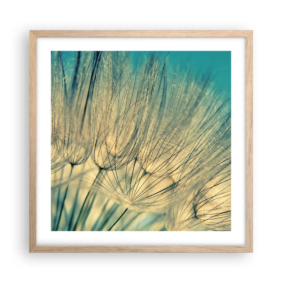 Poster în ramă de stejar deschis - Așteptând vântul - 50x50 cm