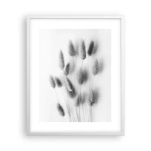Poster în ramă albă - Pufoșenia ierbii - 40x50 cm