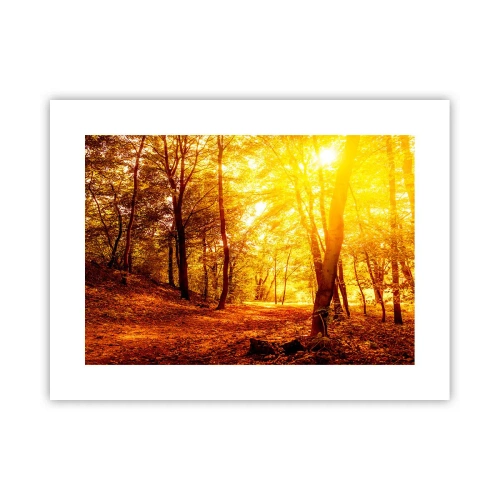 Poster - Spre o poiană de aur - 40x30 cm