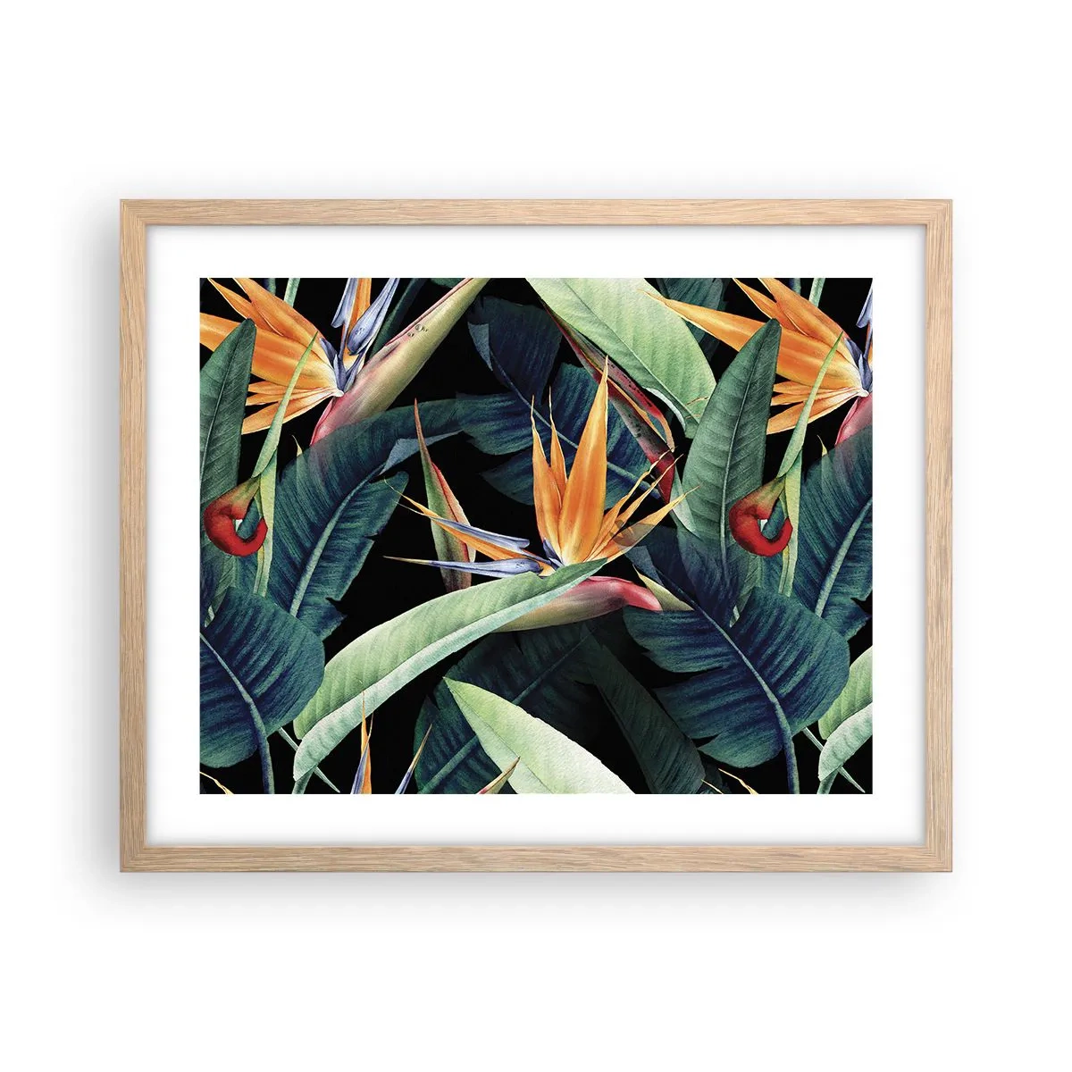 Poster în ramă de stejar deschis - Florile de flacără ale tropicelor - 50x40 cm