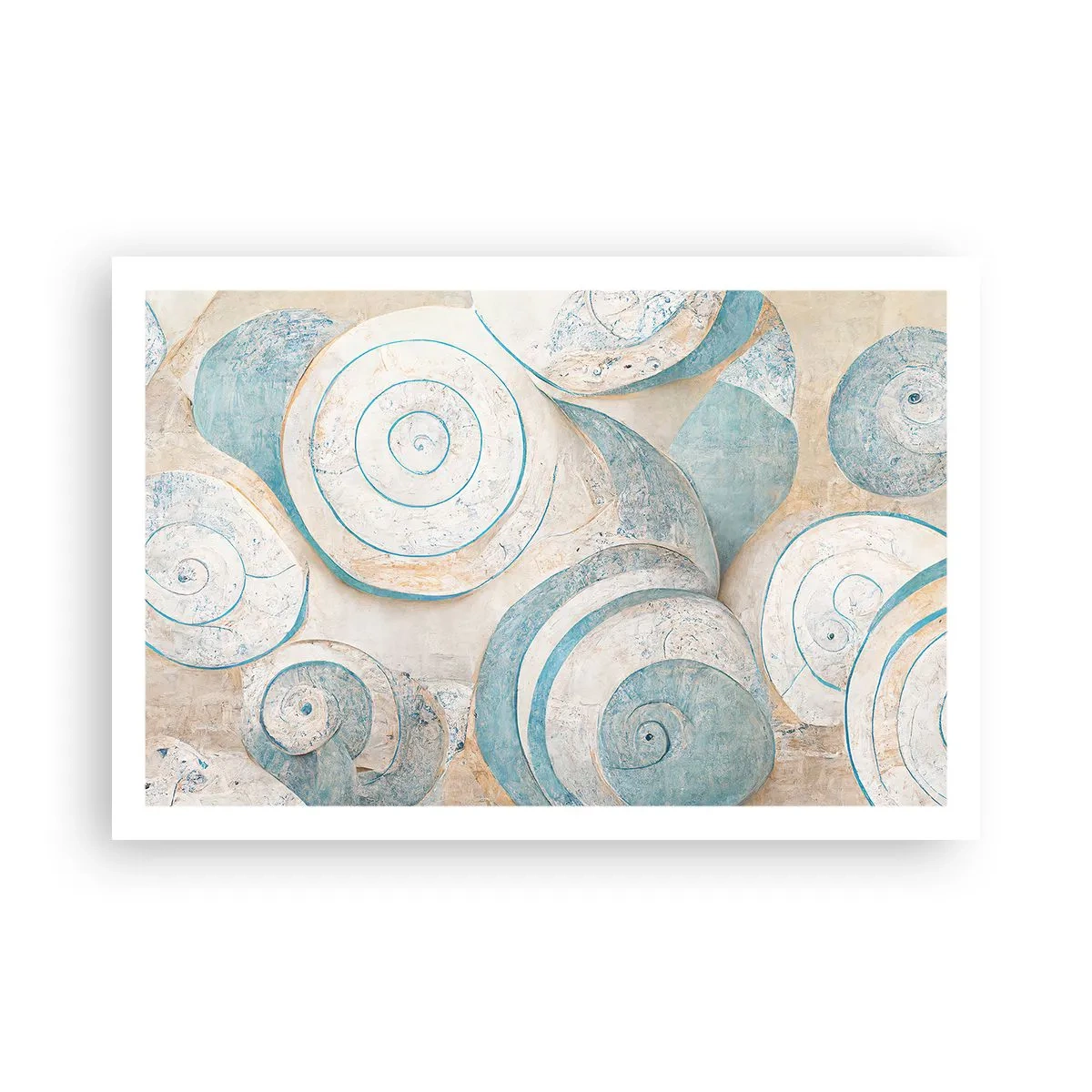 Poster - Ce ascunde cochilia? - 91x61 cm