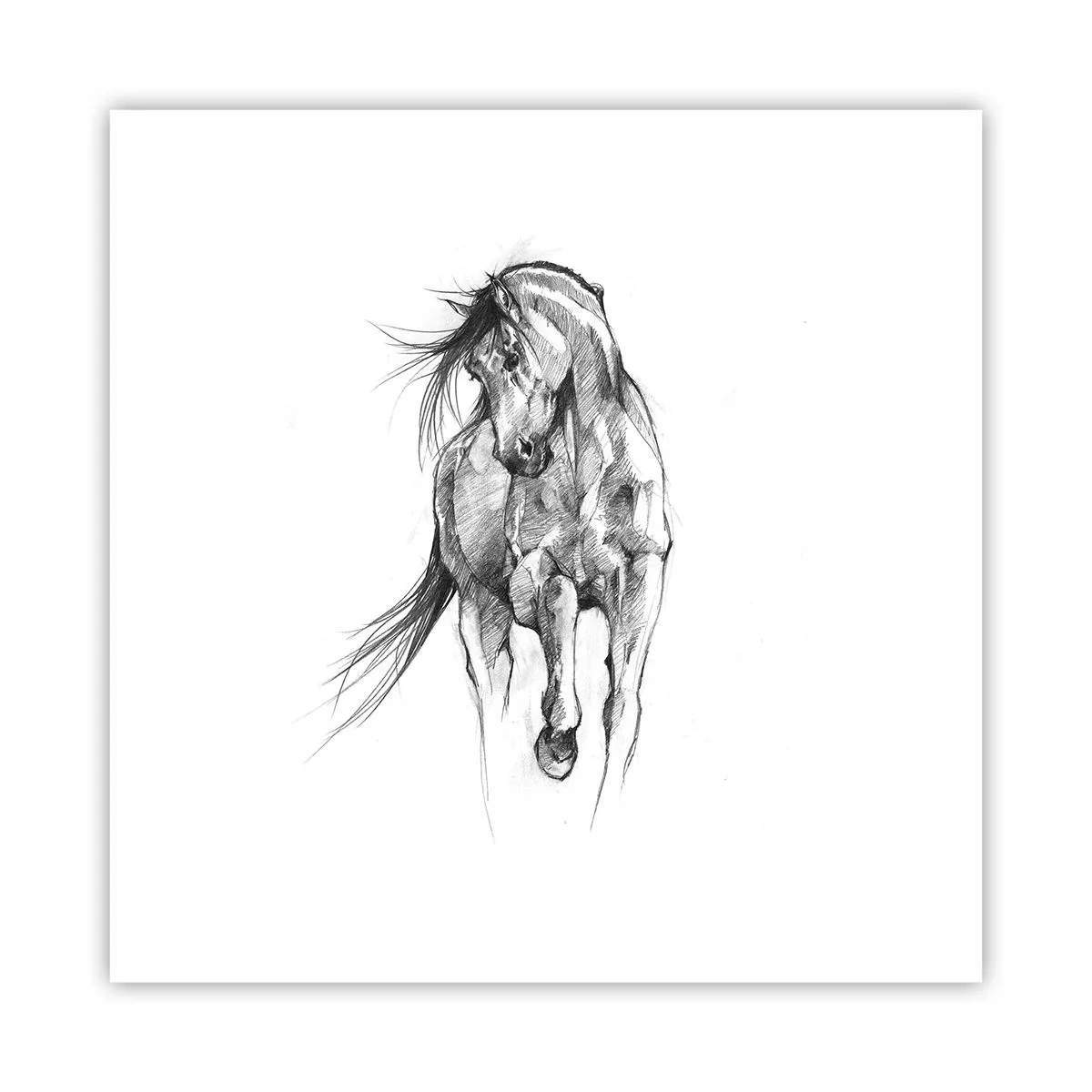 Poster - Într-un trap grațios - 30x30 cm