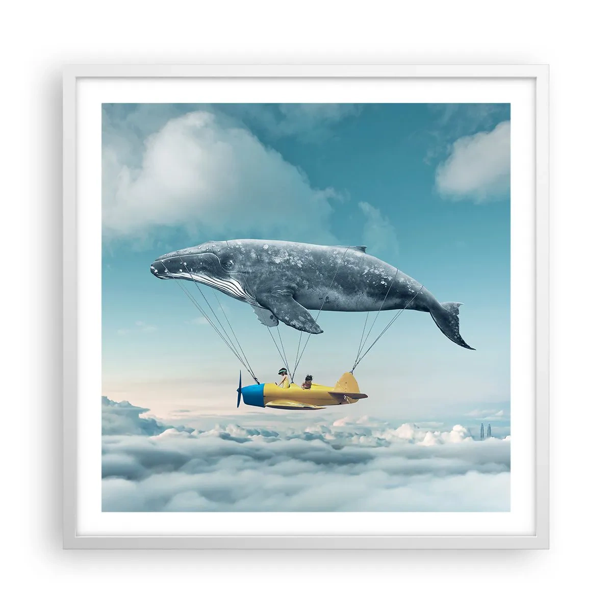 Poster în ramă albă - De ce nu? - 60x60 cm