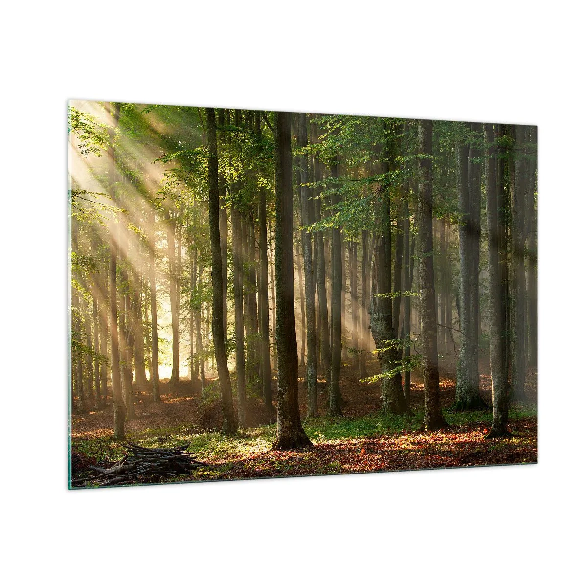 Tablou pe sticlă - Strălucitoare într-o dimineață de primăvară - 100x70 cm
