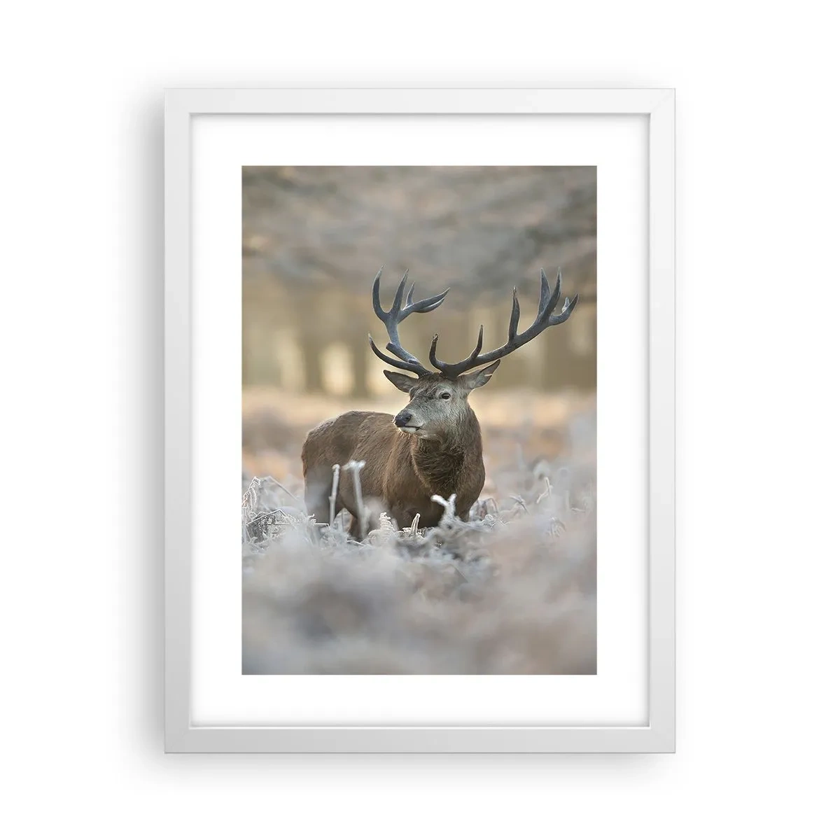 Poster în ramă albă - O dimineață răcoroasă - 30x40 cm