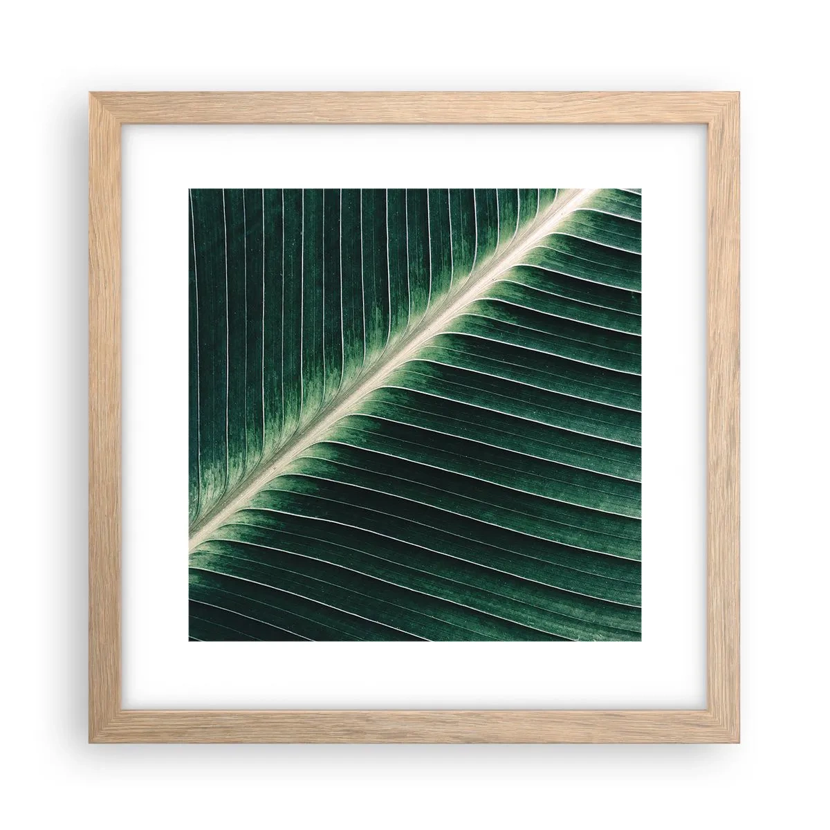 Poster în ramă de stejar deschis - Ritmul naturii - 30x30 cm