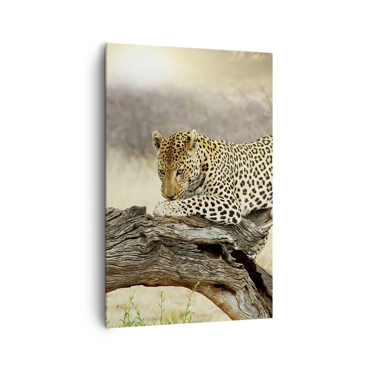 Tablou pe pânză - Mă duc pe drumul meu - 80x120 cm