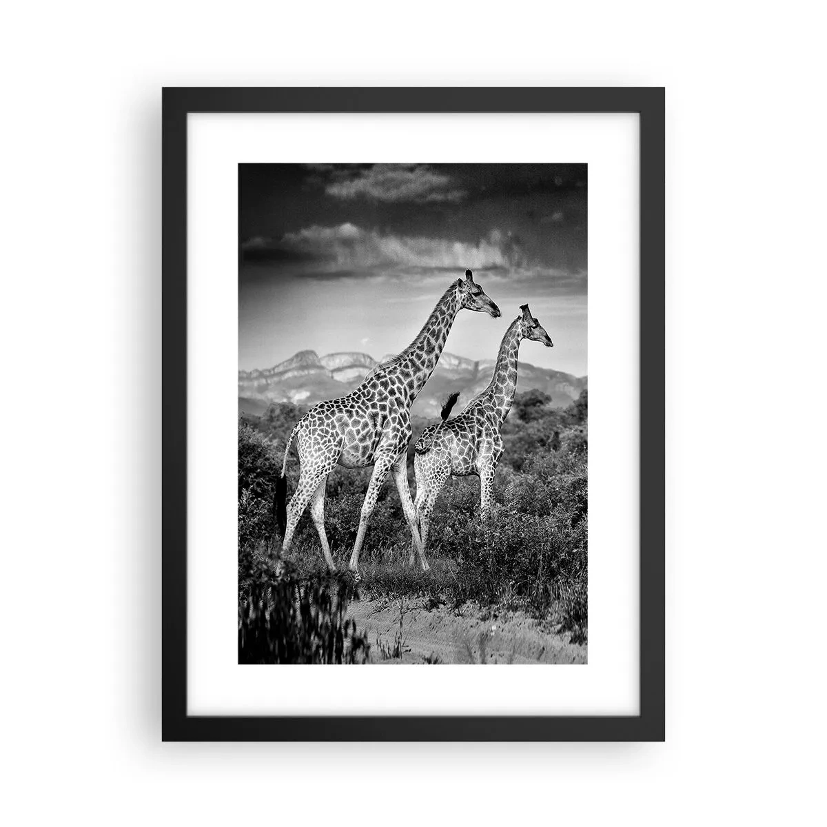 Poster în ramă neagră - Clasele superioare din Africa - 30x40 cm