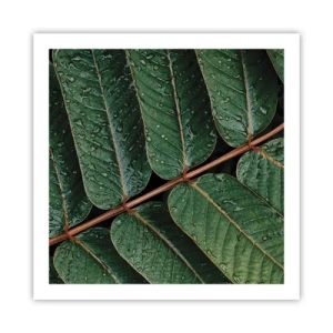 Poster - Într-un ritm verde - 60x60 cm