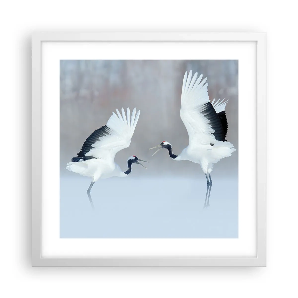 Poster în ramă albă - Dansând în ceață - 40x40 cm