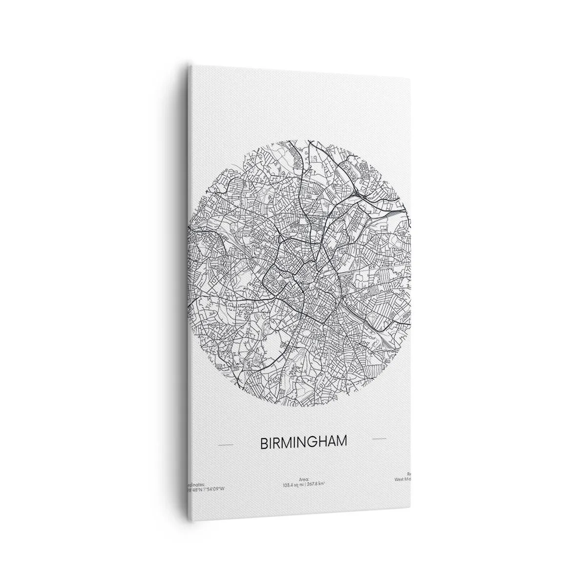 Tablou pe pânză - Anatomia Birmingham - 55x100 cm