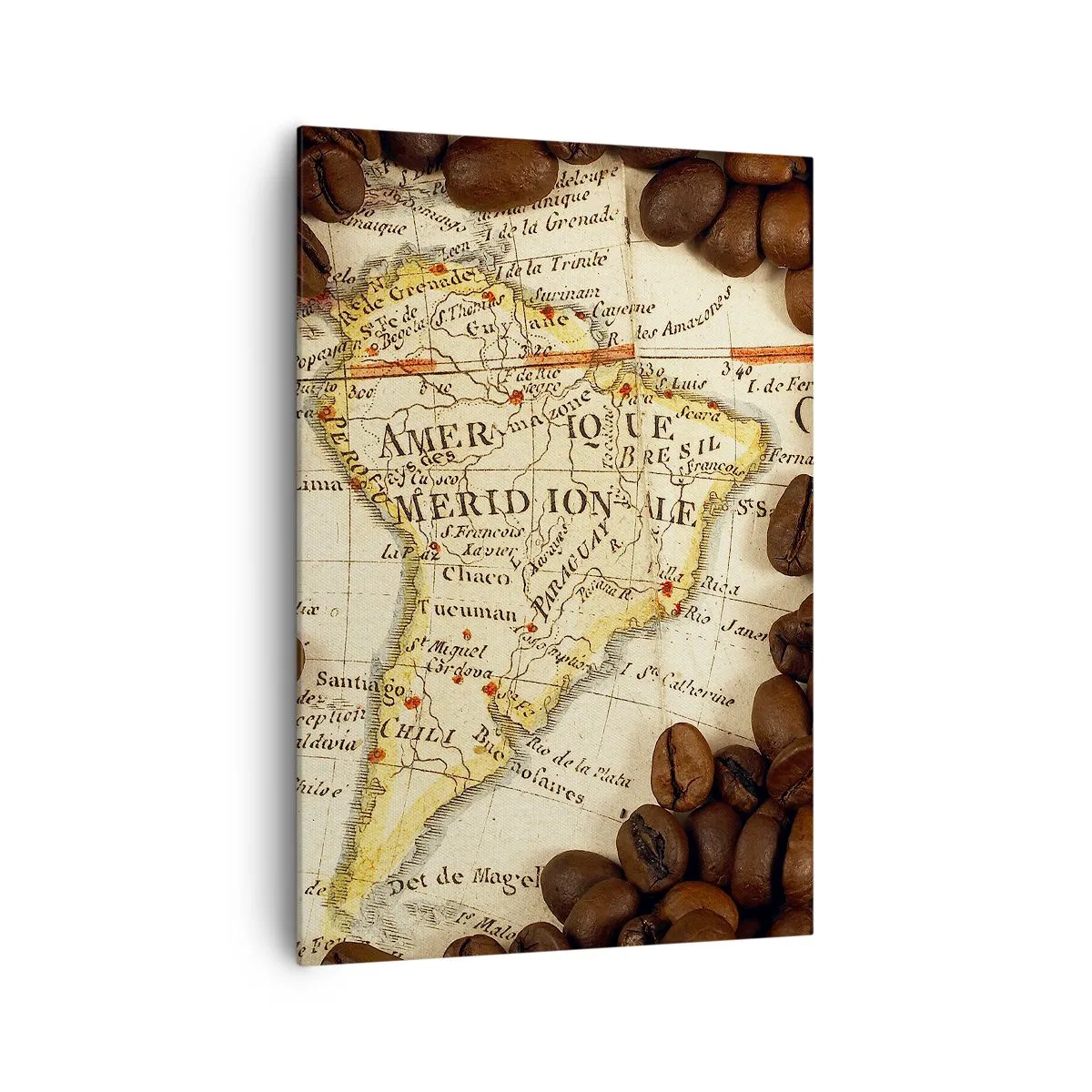 Tablou pe pânză - De unde provine cea mai bună cafea? - 70x100 cm