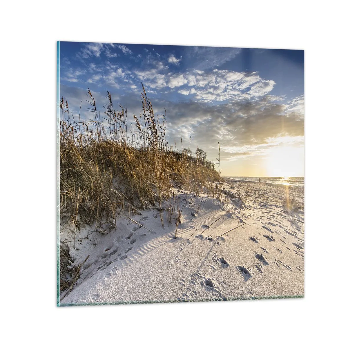 Tablou pe sticlă - Invitație la o plimbare - 70x70 cm