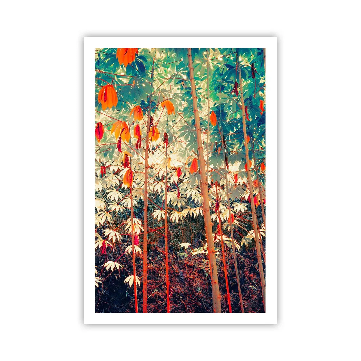 Poster - Viața secretă a frunzelor - 61x91 cm
