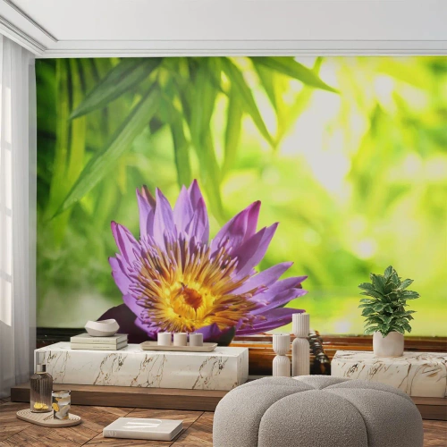 Tapet Autoadeziv Deluxe Sticker - În soarele asiatic - Floare, floare de lotus, Bambus - 250x175 cm