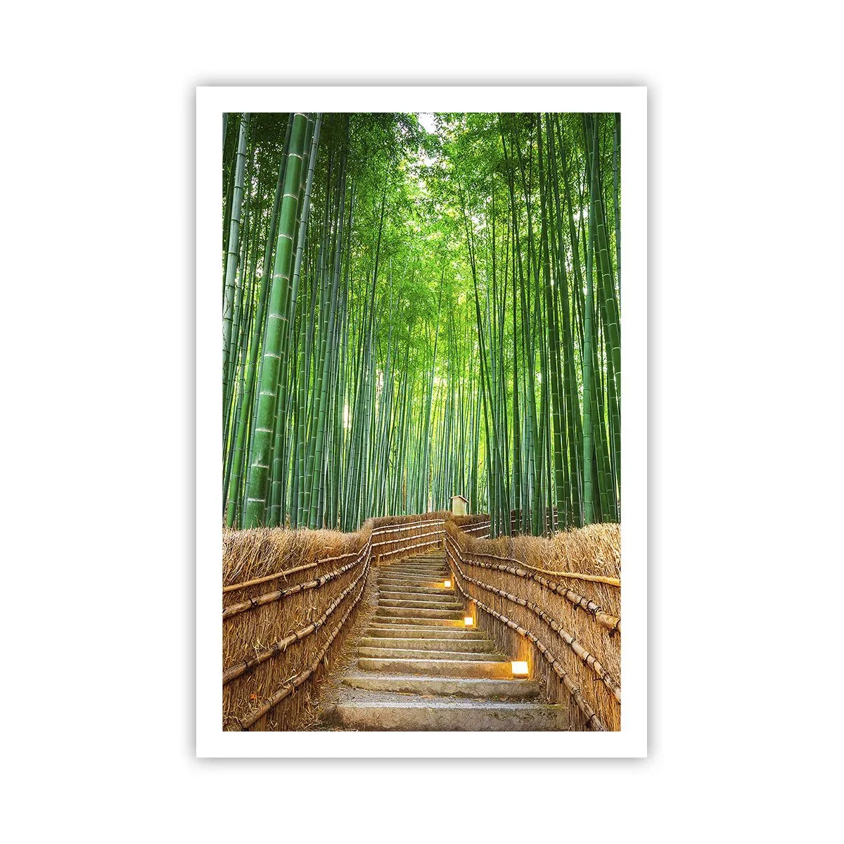 Poster - Esența naturii asiatice - 61x91 cm