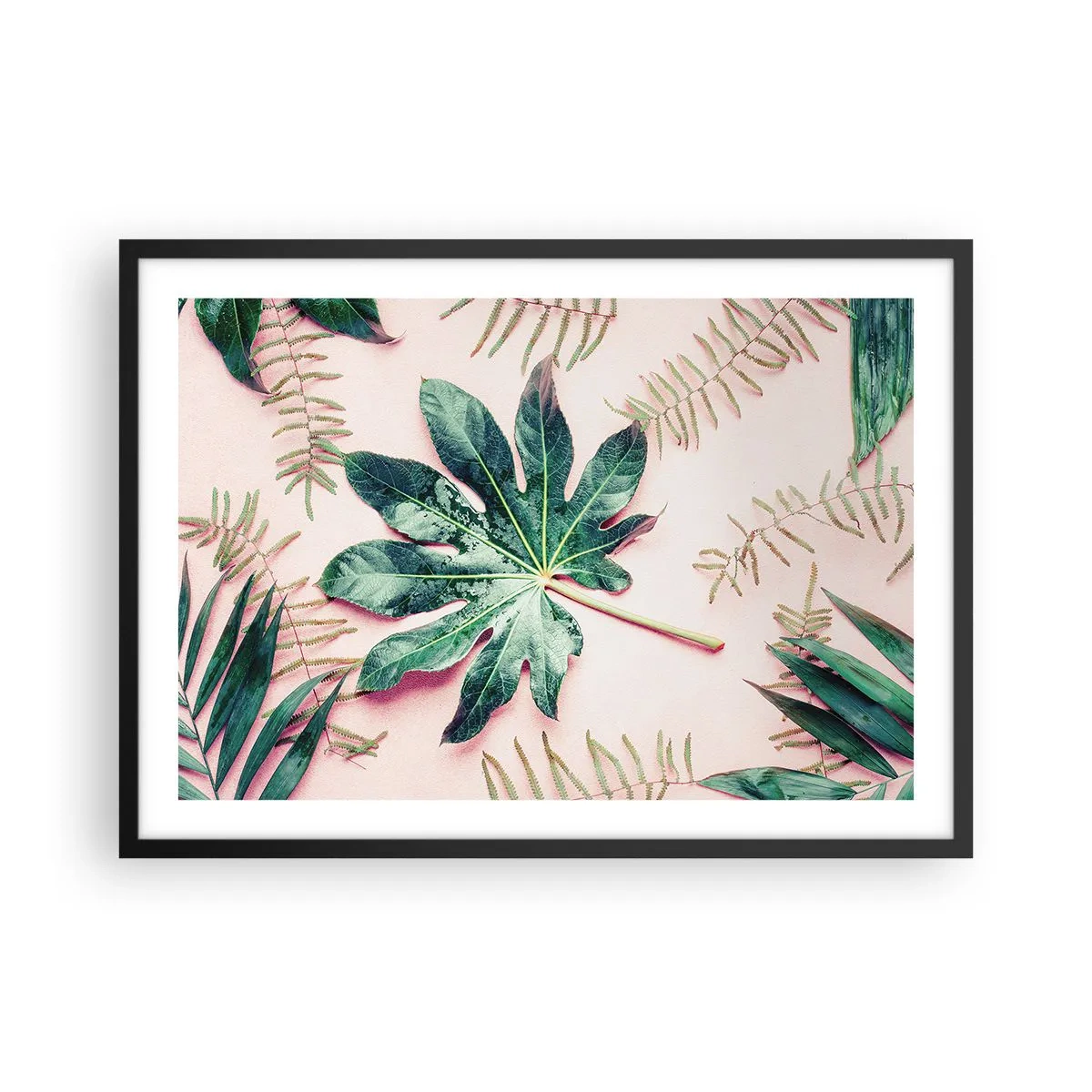 Poster în ramă neagră - Studiu de verdeață pe un fundal roz - 70x50 cm