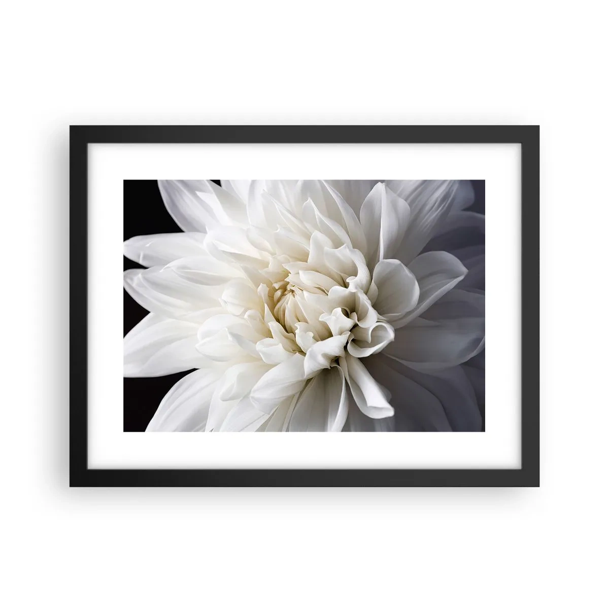 Poster în ramă neagră - Dimineața miresei - 40x30 cm