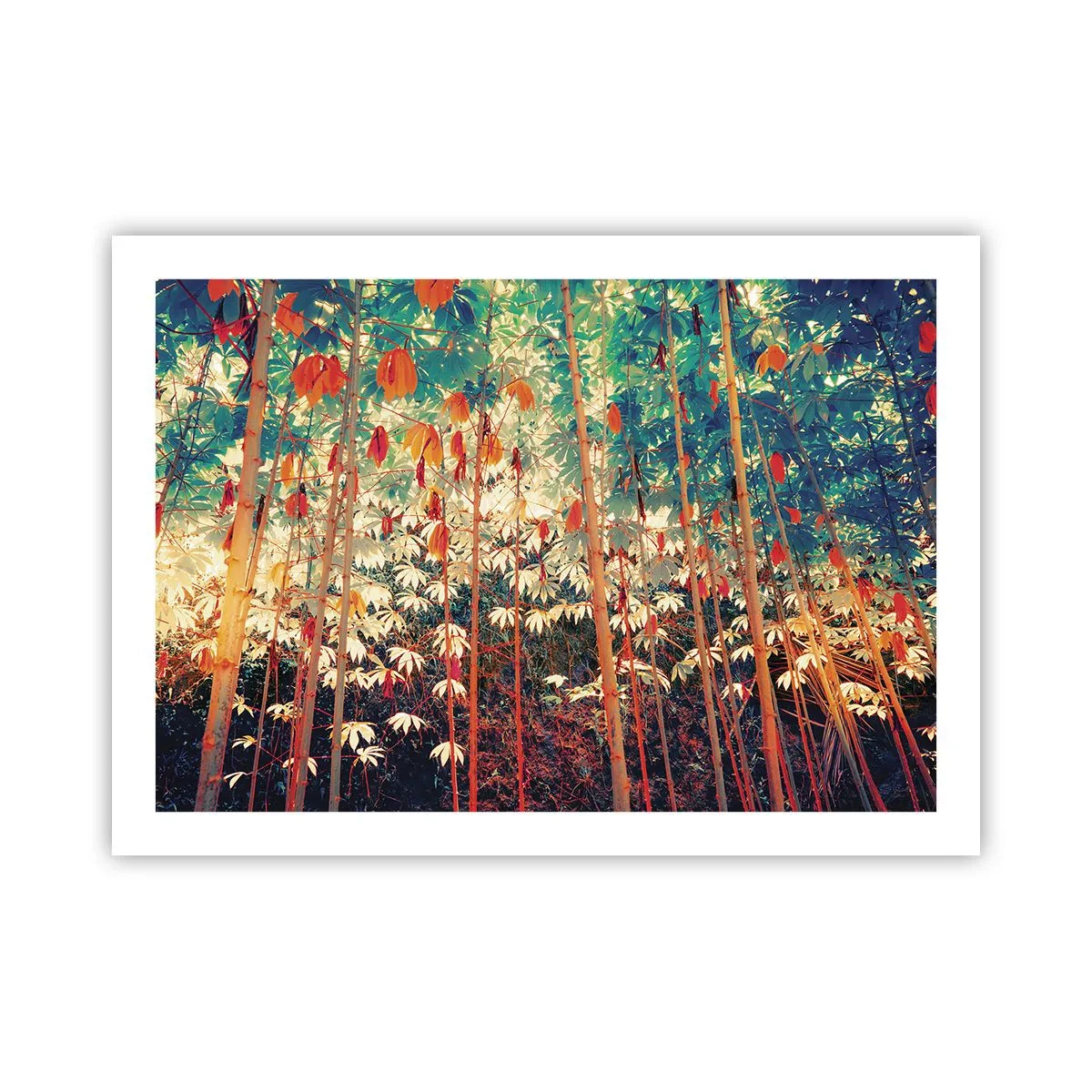 Poster - Viața secretă a frunzelor - 70x50 cm