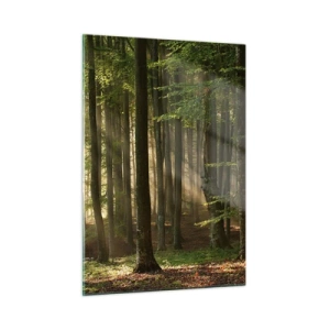 Tablou pe sticlă - Strălucitoare într-o dimineață de primăvară - 50x70 cm