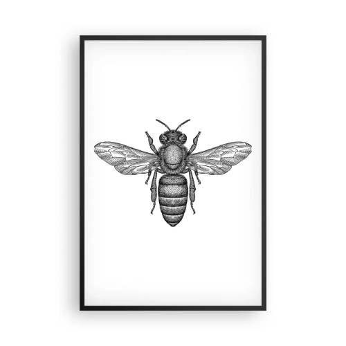 Poster în ramă neagră - Portret de insectă - 61x91 cm
