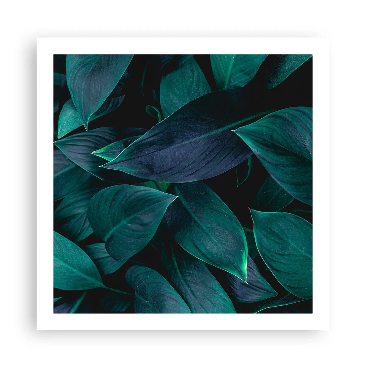 Poster - Verdeața în sine - 60x60 cm
