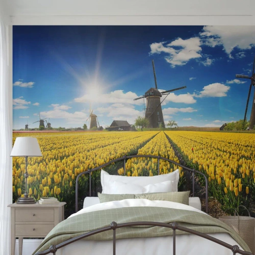 Tapet Premium Canvas - Olandez pe cât se poate - Peisaj, Ventilator, Lalele - 350x256 cm