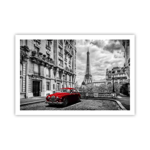 Poster - Prădător în oraș - 91x61 cm