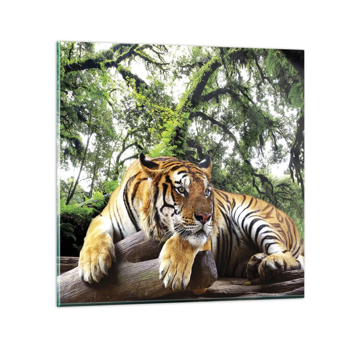 Tablou pe sticlă - Cu respect - 30x30 cm