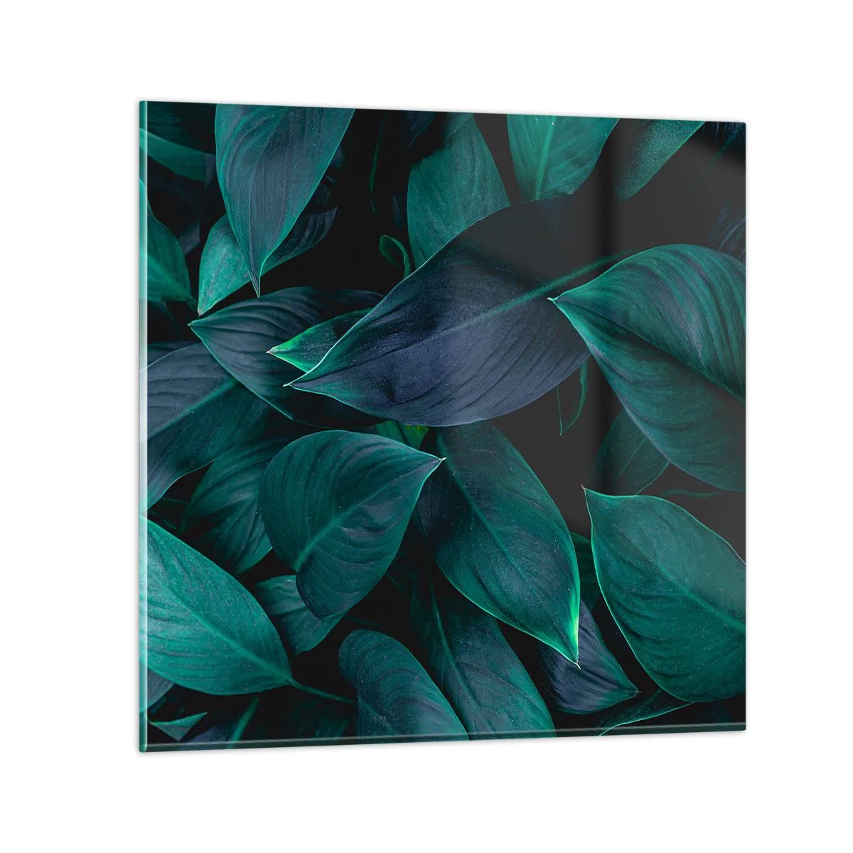 Tablou pe sticlă - Verdeața în sine - 60x60 cm