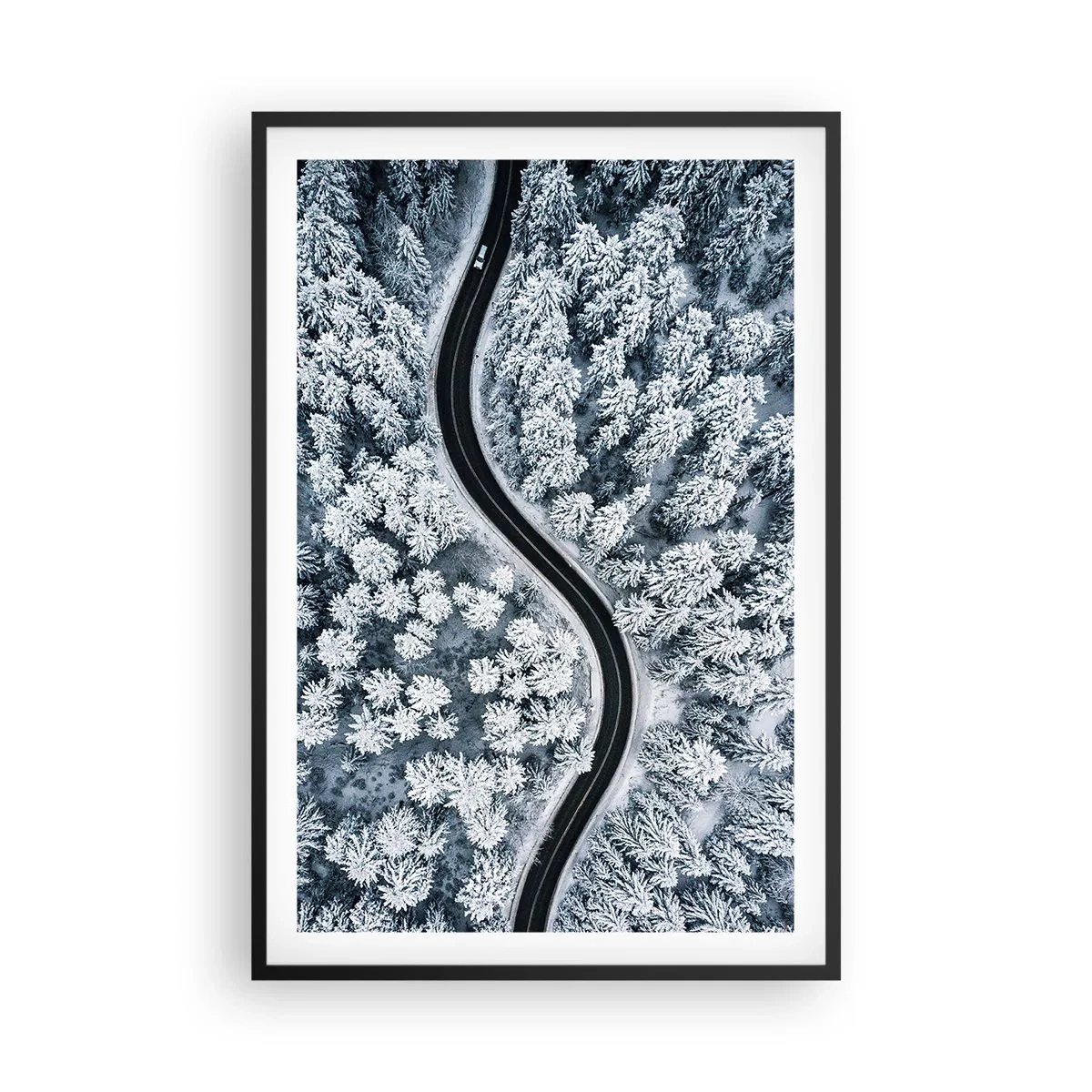 Poster în ramă neagră - Prin pădurea de iarnă - 61x91 cm