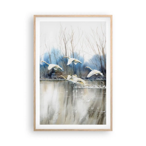 Poster în ramă de stejar deschis - Dansând cu lebedele sălbatice - 61x91 cm