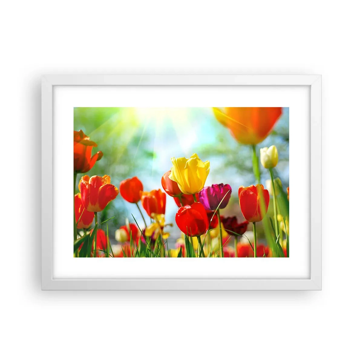 Poster în ramă albă - Toate culorile soarelui - 40x30 cm