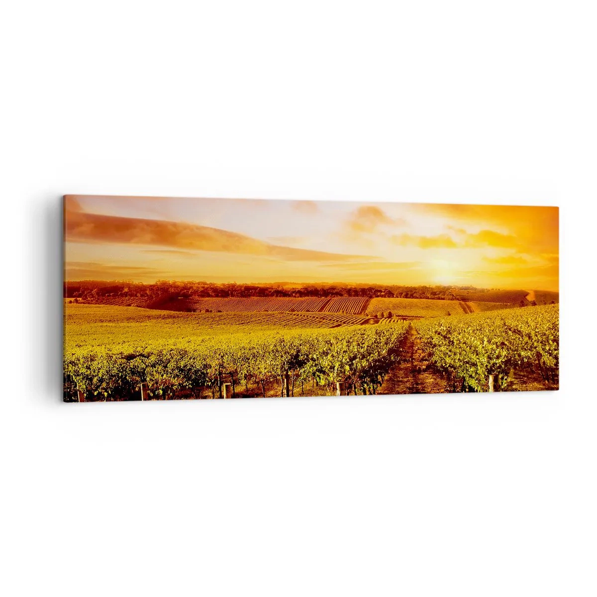 Tablou pe pânză - Cu un iz de fructe, cu o notă de soare - 140x50 cm