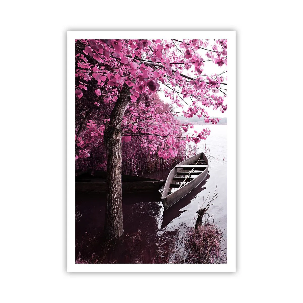 Poster - În tăcerea roz - 70x100 cm