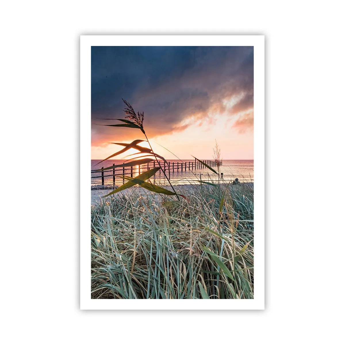 Poster - Nu trece cu vântul - 61x91 cm