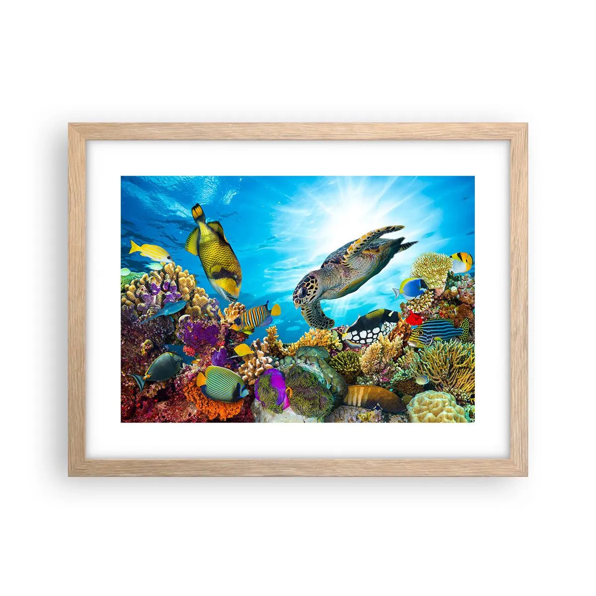 Poster în ramă de stejar deschis - Promenada de corali - 40x30 cm