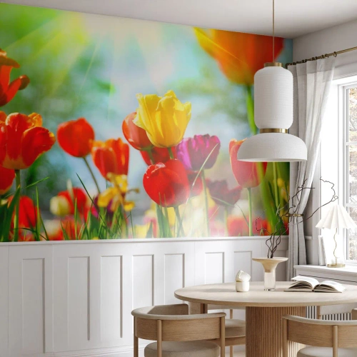 Tapet Standard Eco - Toate culorile soarelui - Lalele, Flori, luncă - 250x175 cm