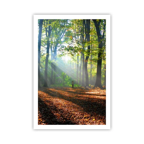 Poster - Străluciri și umbre - 61x91 cm