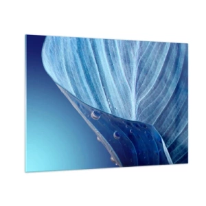 Tablou pe sticlă - O frunză în nuanțe de albastru cu picături de apă pe un fundal gradient. - 70x50cm - Picături ascunse de albastru - Decorațiune modernă pentru perete pentru living și dormitor ARTTOR